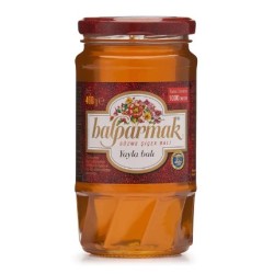 BALPARMAK FILTERED FLOWER HONEY 