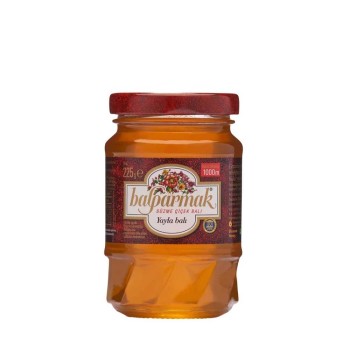 BALPARMAK FILTERED FLOWER HONEY