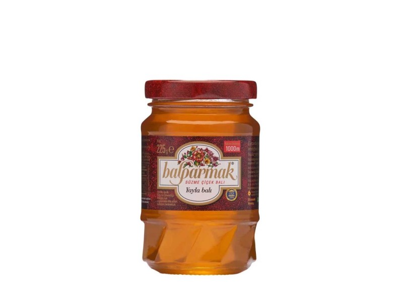 BALPARMAK FILTERED FLOWER HONEY