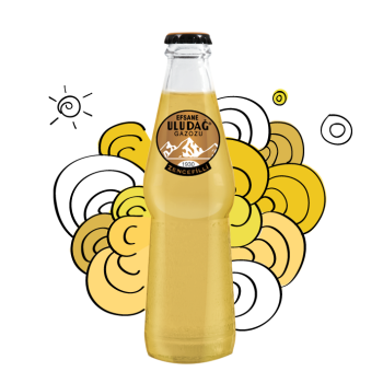 ULUDAĞ SODA LEGEND GINGER